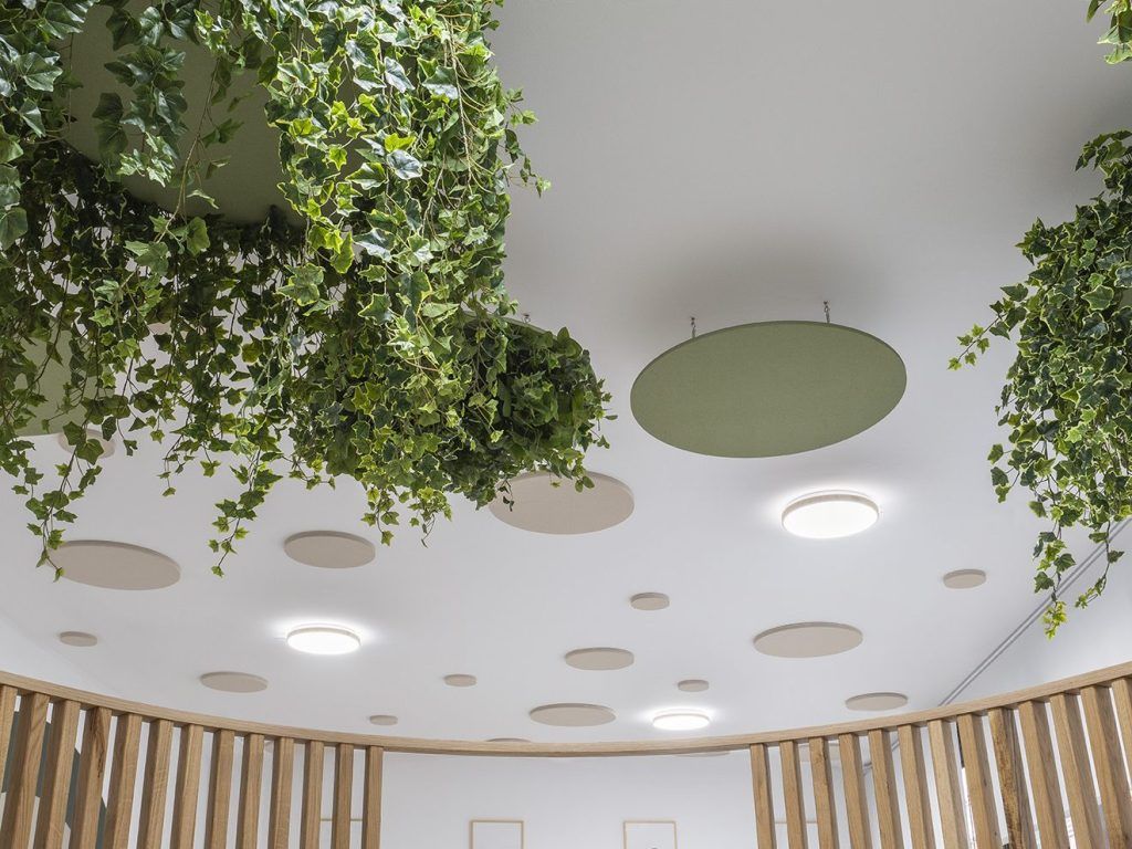 Organización del aula con diseño natural para mejorar el bienestar.